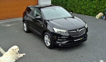 Opel Grandland X 1.5 CDTI Edition Business Pack S&S full
