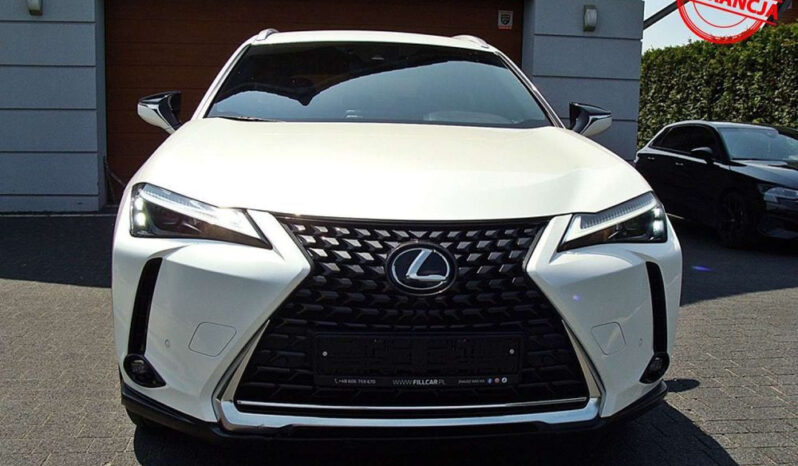 Lexus UX 250h (E-FOUR) Luxury Line full
