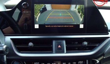 Lexus UX 250h (E-FOUR) Luxury Line full