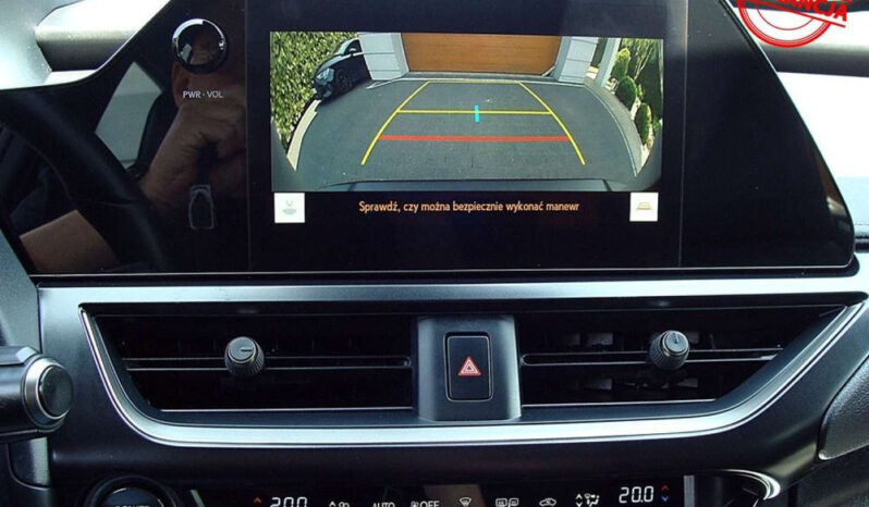 Lexus UX 250h (E-FOUR) Luxury Line full