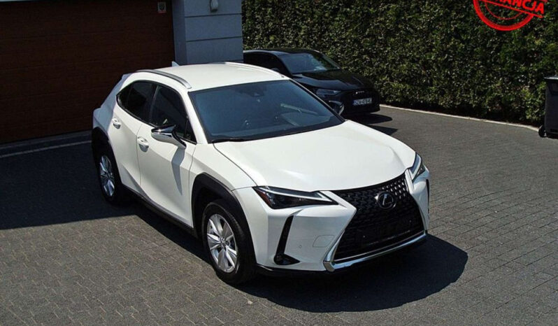 Lexus UX 250h (E-FOUR) Luxury Line full