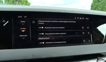 DS Automobiles DS 4 1.5 BlueHDi Rivoli full