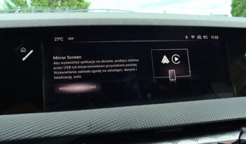 DS Automobiles DS 4 1.5 BlueHDi Rivoli full