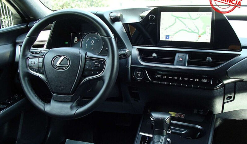 Lexus UX 250h (E-FOUR) Luxury Line full
